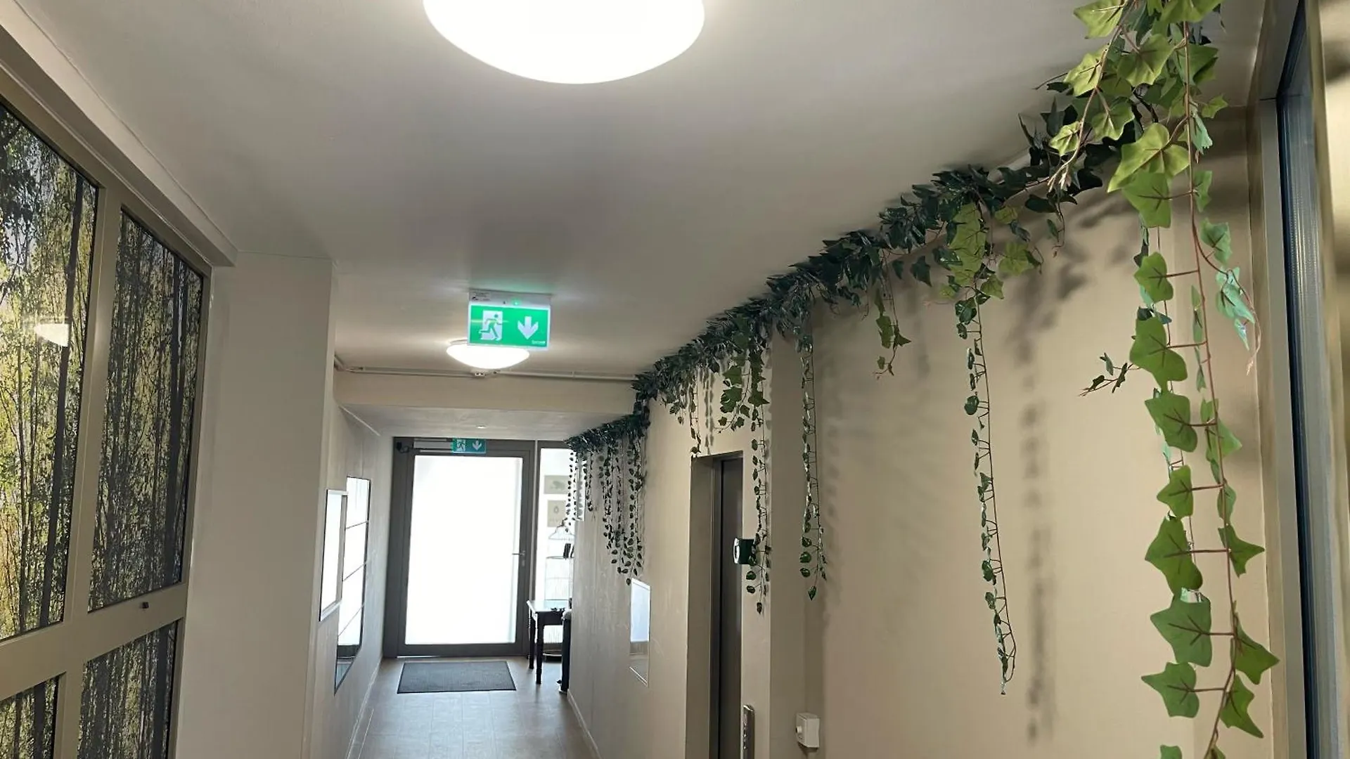 Nest Natur Hostel Wiedeń Austria