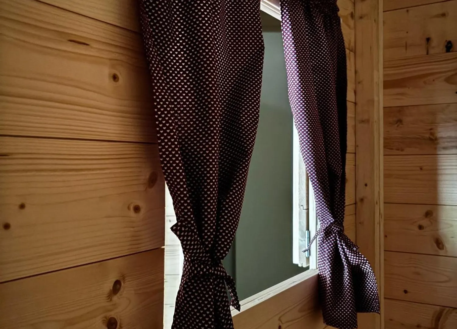 Nest Natur Hostel Vienna Austria