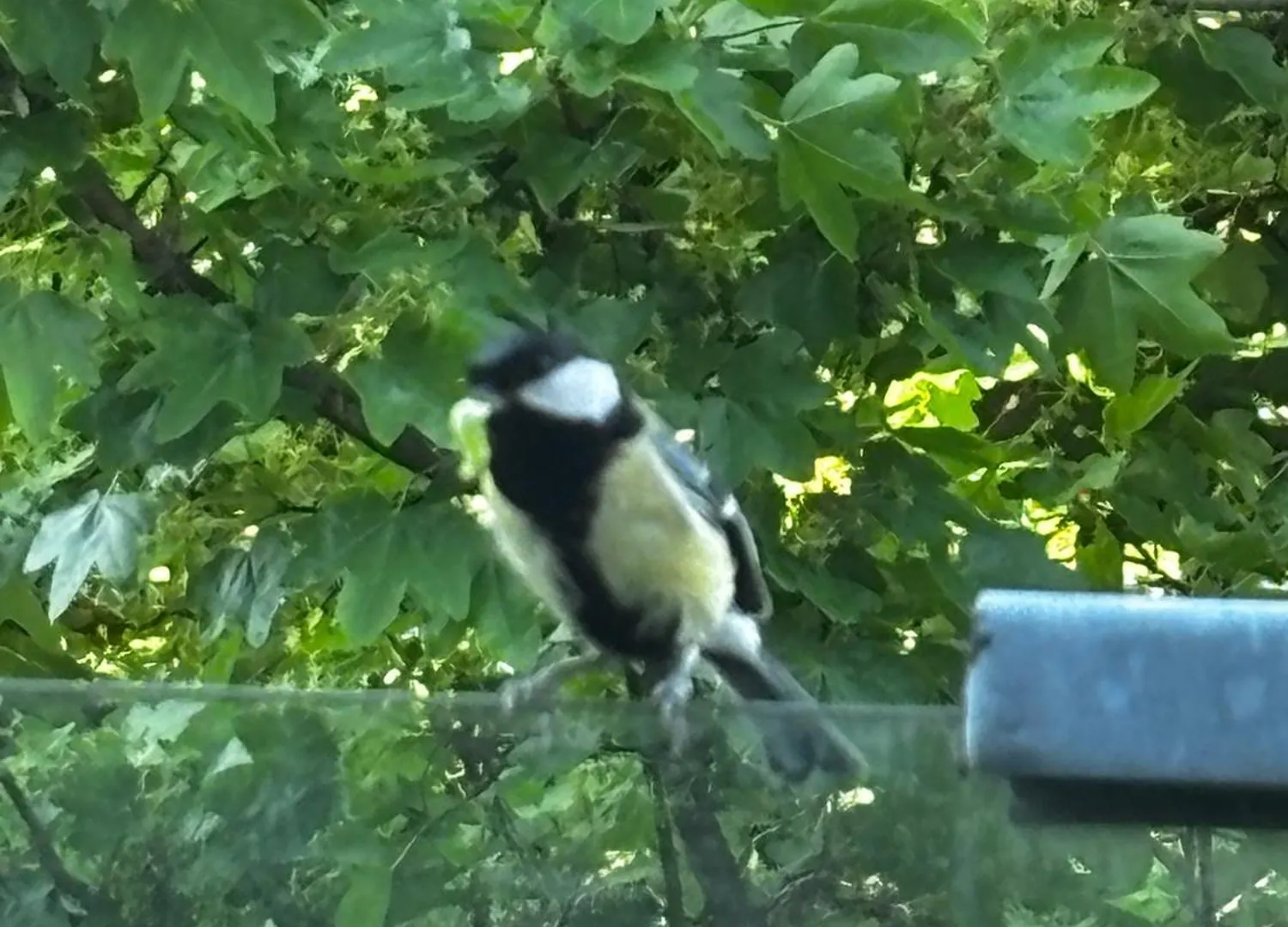 Nest Natur Hostel Vienna 0*,